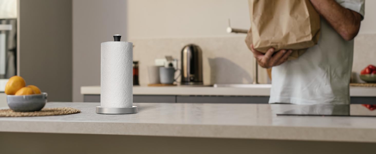 MR.SIGA Paper Towel Holder